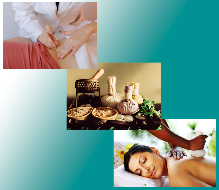 Slide 5 Wellness